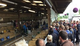 Exploring inefficiency in your heifer unit: Staffordshire